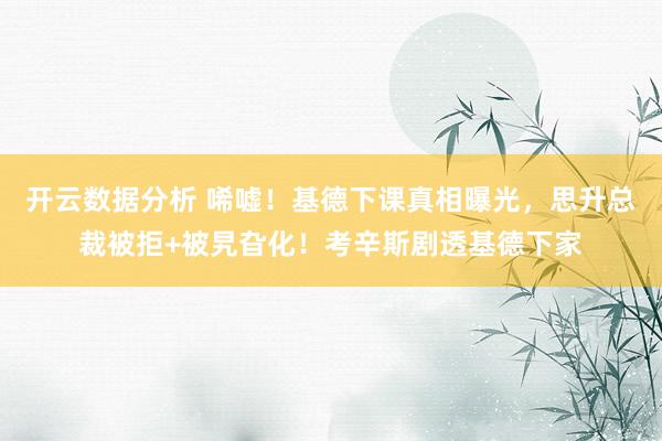 开云数据分析 唏嘘！基德下课真相曝光，思升总裁被拒+被旯旮化！考辛斯剧透基德下家