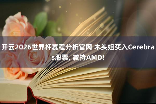 开云2026世界杯赛程分析官网 木头姐买入Cerebras股票， 减持AMD!
