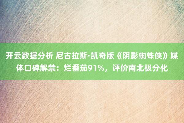 开云数据分析 尼古拉斯·凯奇版《阴影蜘蛛侠》媒体口碑解禁：烂番茄91%，评价南北极分化