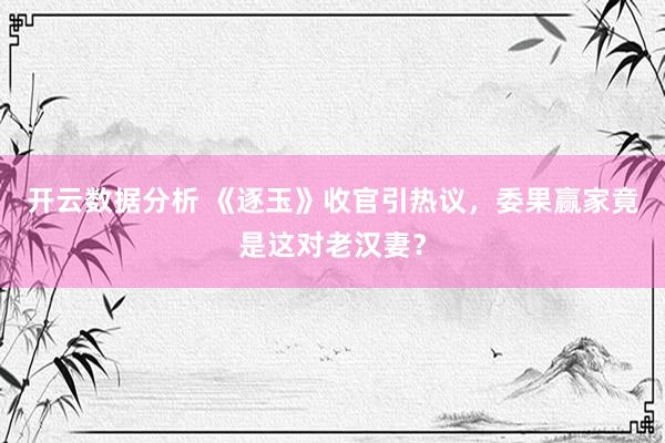 开云数据分析 《逐玉》收官引热议,委果赢家竟是这对老汉妻?