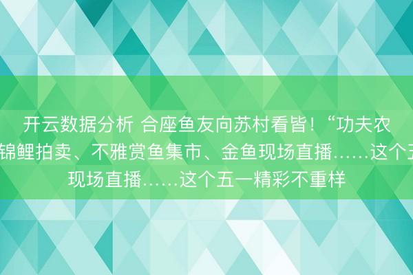 开云数据分析 合座鱼友向苏村看皆！“功夫农品”讲堂、名优锦鲤拍卖、不雅赏鱼集市、金鱼现场直播……这个五一精彩不重样
